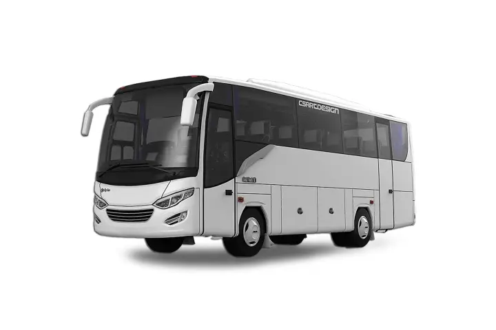 Bus 30 seat